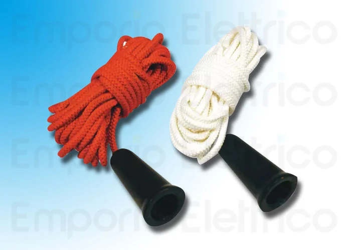 came pendulum release system 001c002 c002