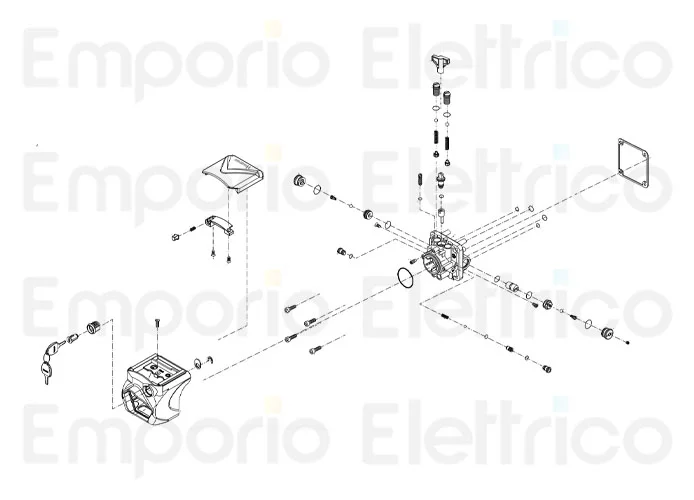 fadini Ersatzteil der kompletten Gruppe mit Schlüsseln für hindi 880 evo 87152