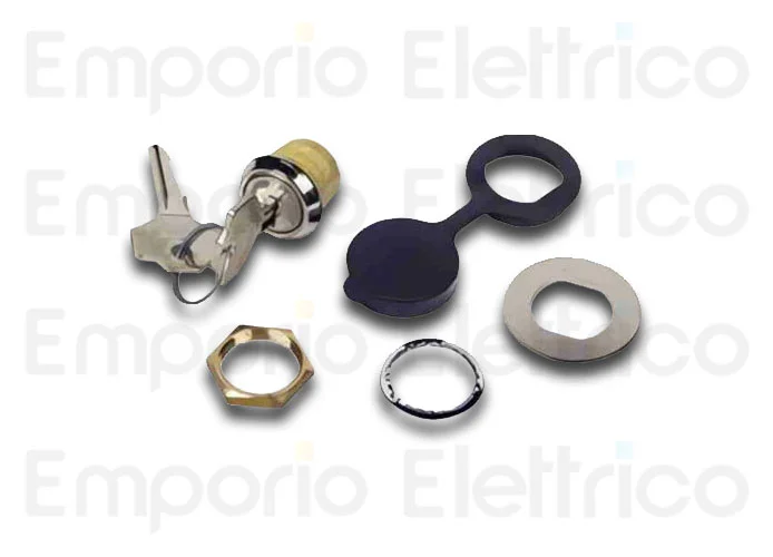 faac sblocco esterno con chiave personalizzata 424550001/50