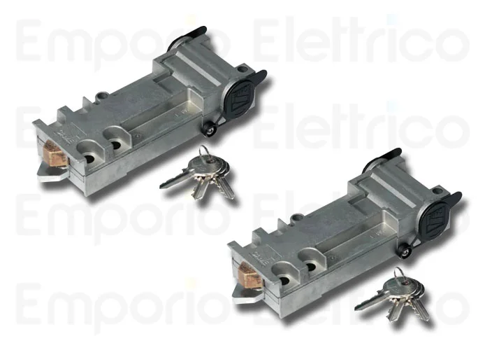 came 2 x sblocco con chiave personalizzata euro 001a4366 (new code 801xa-0030)